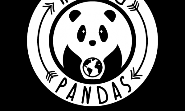 La nostra intervista con Rolling Pandas!
