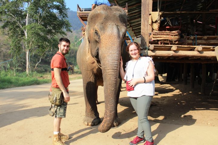 Noi con un elefante