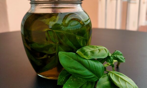 Olio aromatizzato al basilico – conservare le spezie